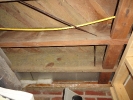 Mold in basement due to a frozen pipe_1