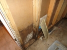 Mold in basement due to a frozen pipe_3